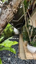 Frankel Estate (D15), Detached #480321561